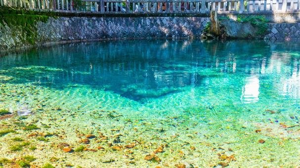 💧 벳푸 벤텐 연못 (벳푸벤텐이케) 이미지 6